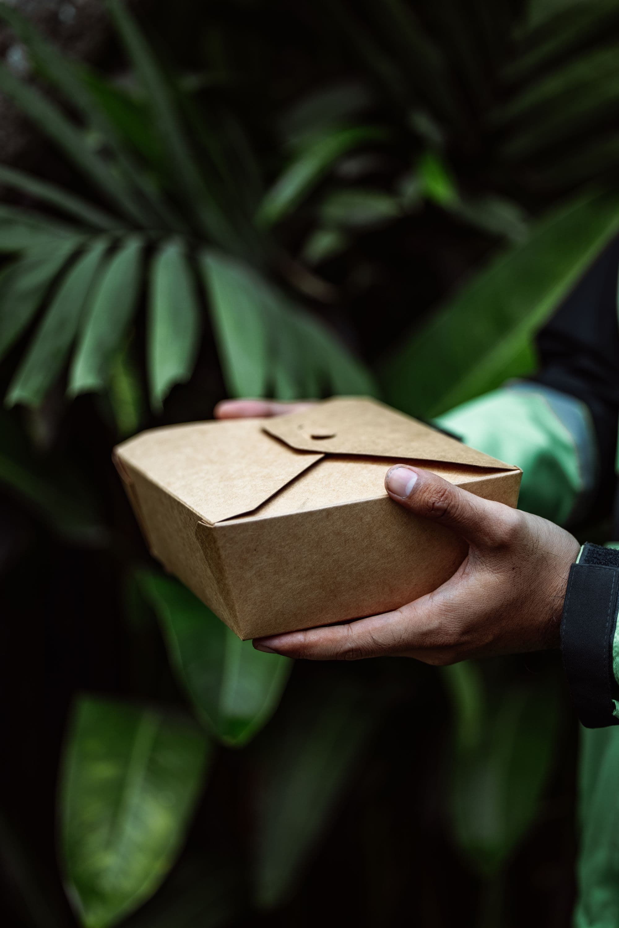A sealed kraft meal box held in one hand against dark tropical foliage